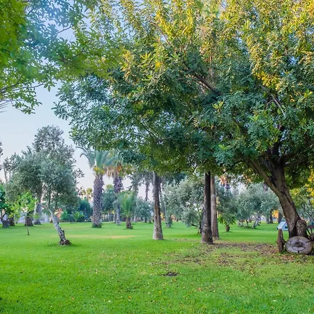 Sural (adults Only) 5* Σιντέ