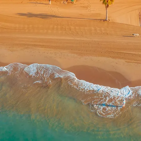 منتجع Sural (adults Only) سيدي