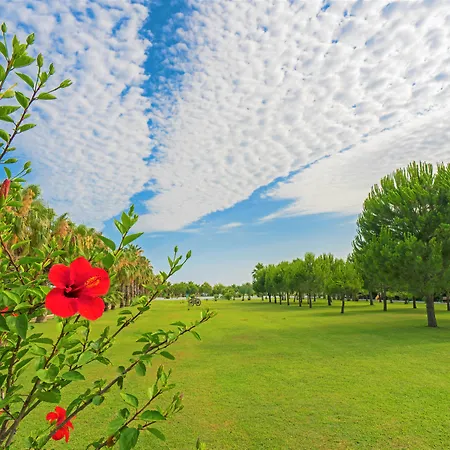 Sural (adults Only) سيدي