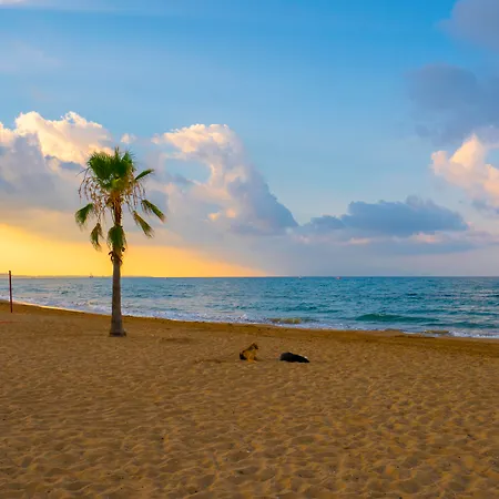 Sural (adults Only) سيدي