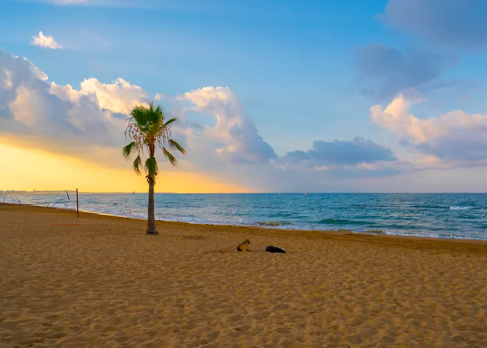Sural (adults Only) Sidé